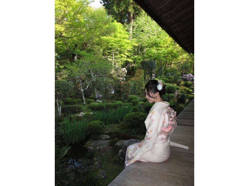 【京都，清水寺】穿上和服，遊覽清水寺，享受拍照的樂趣！の紹介画像