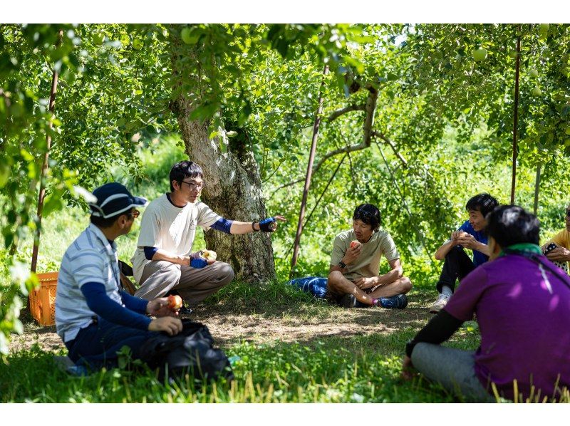 [Nagano, Ina Valley] Guided bicycle tour "What I want to tell you: How delicious apples are grown"の紹介画像