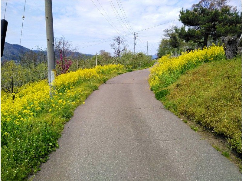 【長野・中野】飯山から谷街道をのんびり走り、中野「陣屋」で昼食。替佐駅から飯山線をサイクルトレインで愉しむプライベートプランの紹介画像
