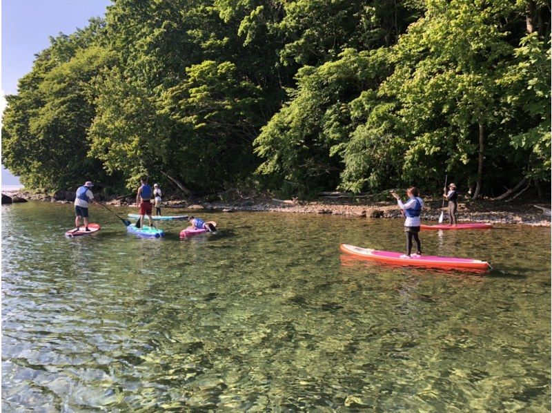 【北海道・千歳】支笏湖ブルーと緑のコントラストに包まれて「サップで水上散歩」リフレッシュ非日常体験！！の紹介画像