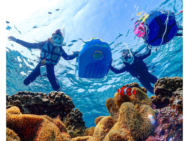 【沖縄・宮古島】《シュノーケリングツアー》初心者でも安心して海の世界を体験！高確率でウミガメ遭遇！★データ全て無料★の紹介画像