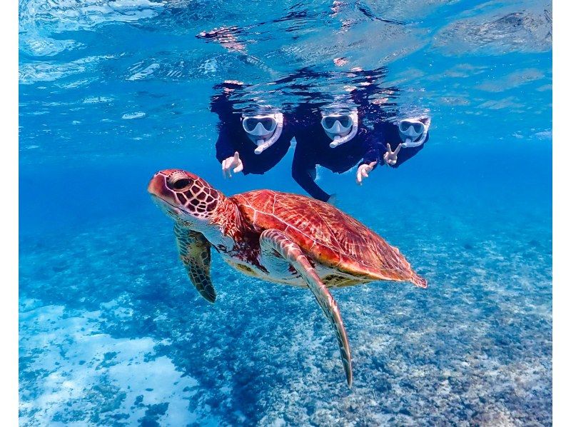 【沖縄・宮古島】《シュノーケリングツアー》初心者でも安心して海の世界を体験！高確率でウミガメ遭遇！★データ全て無料★の紹介画像