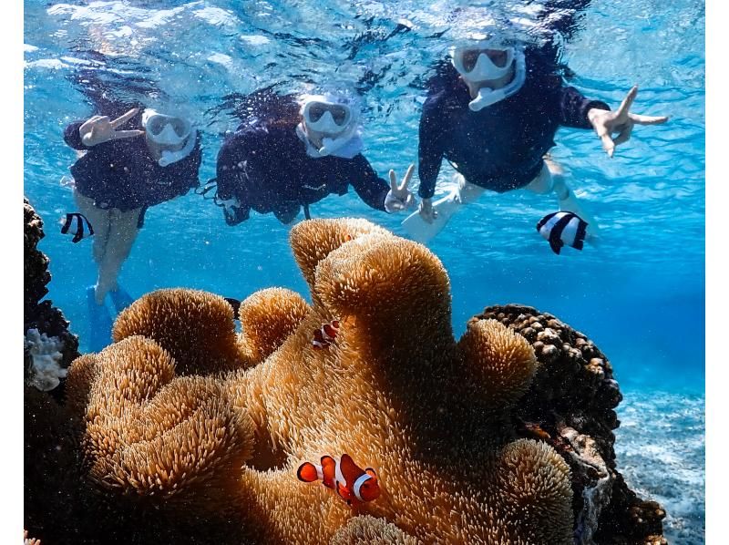 【沖縄・宮古島】《シュノーケリングツアー》初心者でも安心して海の世界を体験！高確率でウミガメ遭遇！★データ全て無料★の紹介画像