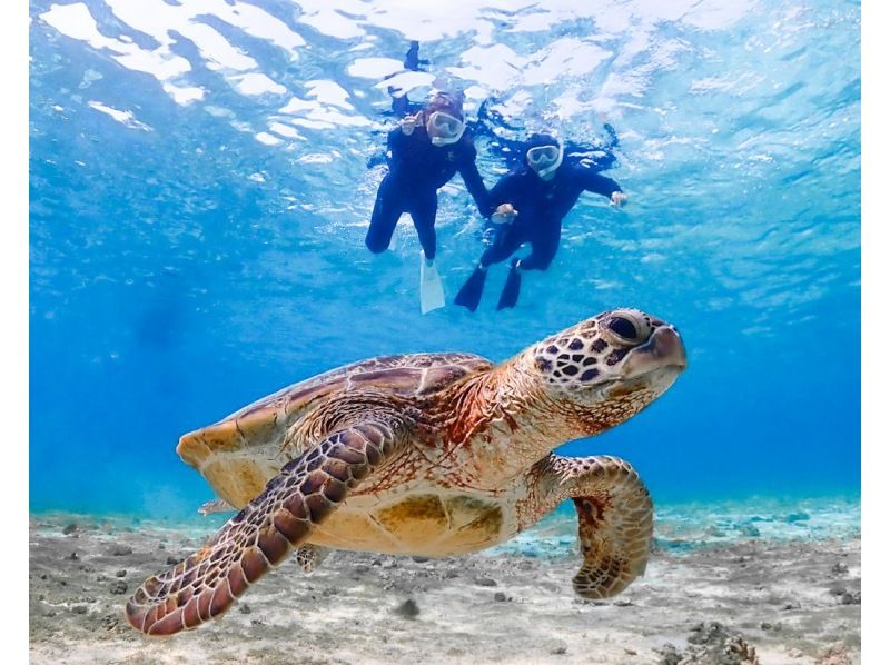 【沖縄・宮古島】《シュノーケリングツアー》初心者でも安心して海の世界を体験！高確率でウミガメ遭遇！★データ全て無料★の紹介画像
