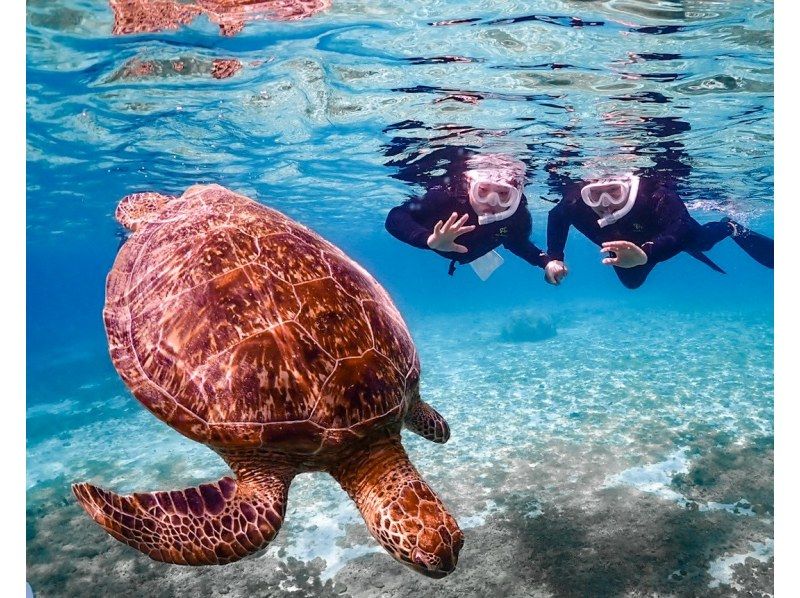 【沖縄・宮古島】《シュノーケリングツアー》初心者でも安心して海の世界を体験！高確率でウミガメ遭遇！★データ全て無料★の紹介画像