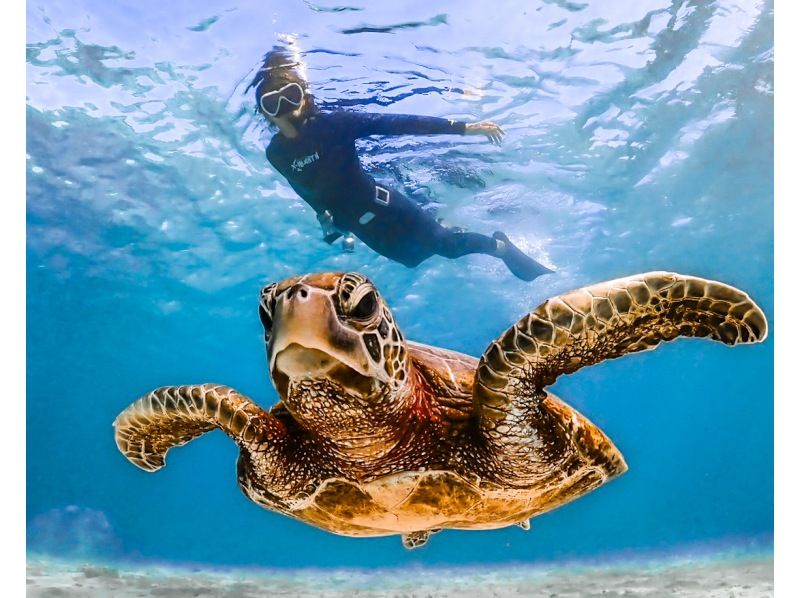 宮古島【シュノーケリング】シュノーケル初心者でも安心！《高確率でウミガメ遭遇》★データ全て無料★シュノーケルツアーの紹介画像