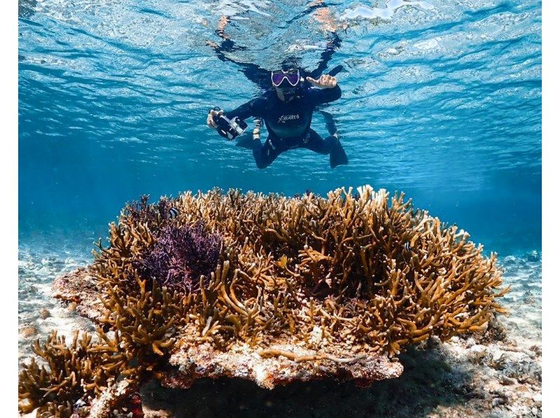 【沖縄・宮古島】《シュノーケリングツアー》初心者でも安心して海の世界を体験！高確率でウミガメ遭遇！★データ全て無料★の紹介画像