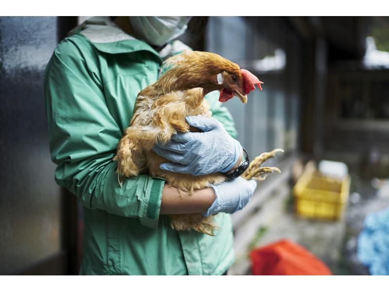 [Akiruno, Tokyo] From turning a whole chicken into meat to "Lessons on Life: Dissecting a Chicken"の紹介画像