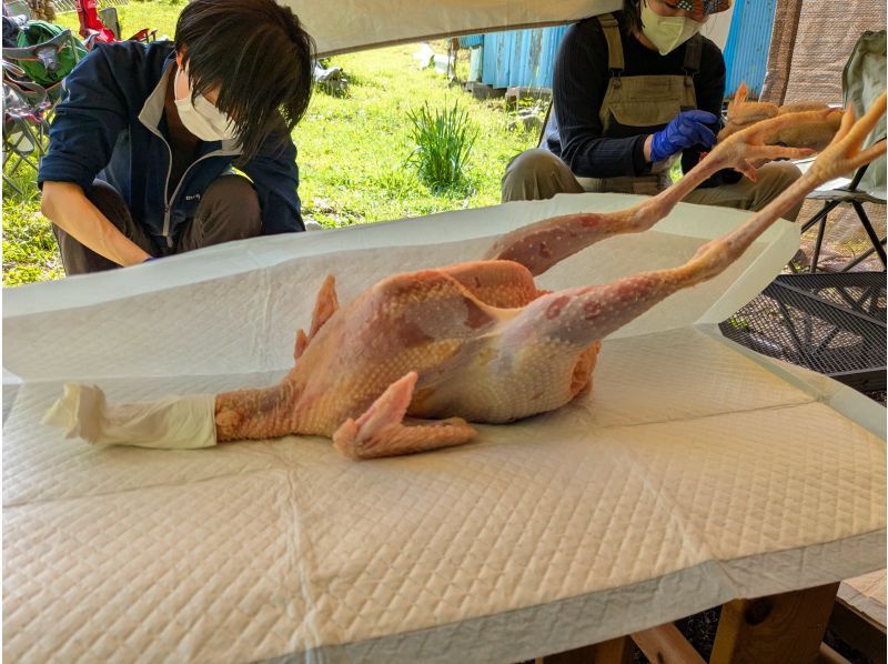 [Akiruno, Tokyo] From turning a whole chicken into meat to "Lessons on Life: Dissecting a Chicken"の紹介画像