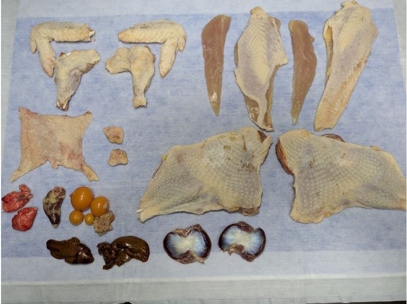 [Akiruno, Tokyo] From turning a whole chicken into meat to "Lessons on Life: Dissecting a Chicken"の紹介画像