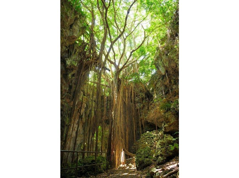 2025年4月～9月【沖縄本島】那覇午後発　ガンガラーの谷ガイドツアー＆琉球ガラス村へご案内　南部観光半日バスツアーの紹介画像