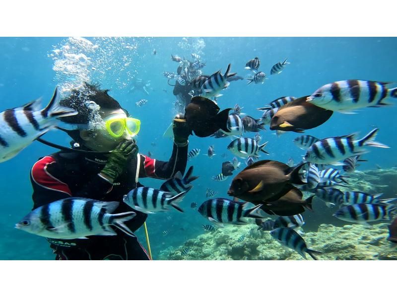 [Onna Village, Blue Cave, etc.] <Snorkeling> ◆ No age restrictions ◆ Private tour for each group ◆ GoPro data freeの紹介画像