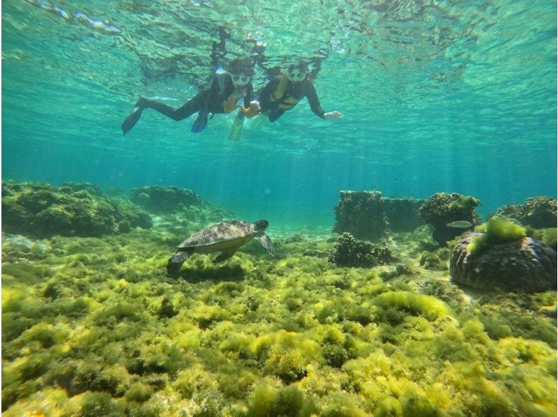 【糸満・豊見城】到着後すぐ、帰る日でも間に合う！ウミガメやカラフル熱帯魚が楽しめるジョン万ビーチでのシュノーケル！ 写真データ＆餌やり無料のの紹介画像