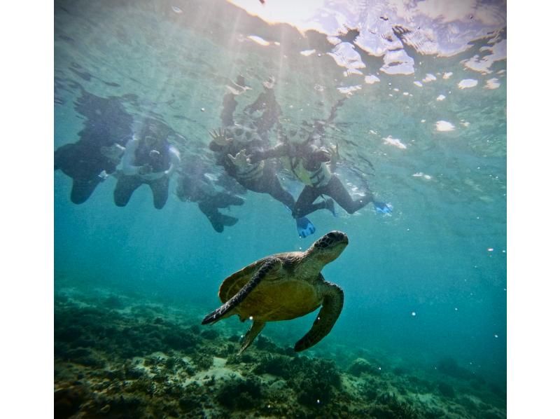 【糸満・豊見城】到着後すぐ、帰る日でも間に合う！ウミガメやカラフル熱帯魚が楽しめるジョン万ビーチでのシュノーケル！ 写真データ＆餌やり無料のの紹介画像