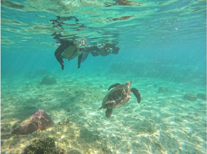 【糸満・豊見城】到着後すぐ、帰る日でも間に合う！ウミガメやカラフル熱帯魚が楽しめるジョン万ビーチでのシュノーケル！ 写真データ＆餌やり無料のの紹介画像