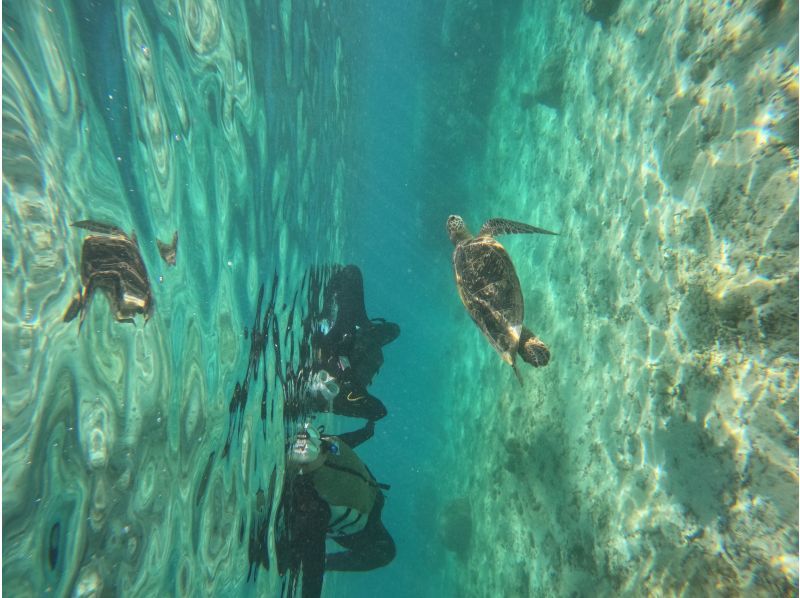 【糸満・豊見城】到着後すぐ、帰る日でも間に合う！ウミガメやカラフル熱帯魚が楽しめるジョン万ビーチでのシュノーケル！ 写真データ＆餌やり無料のの紹介画像