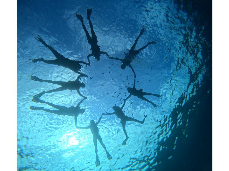 ＜スノーケリング＞【本部町・ゴリラチョップ 他】年齢制限なし◆各ツアー貸切開催◆冬季ウェットスーツ無料◆無料送迎◆餌やり体験◆Gopro無料の紹介画像