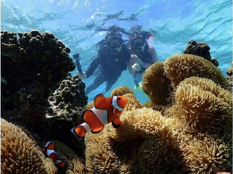 【宫古岛/可接送】★当天预约OK★【尽情享受宫古岛的超值方案！海龟浮潜x海滩SUP]免费交通，照片和视频数据！の紹介画像