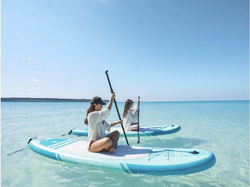 【宫古岛/可接送】★当天预约OK★【尽情享受宫古岛的超值方案！海龟浮潜x海滩SUP]免费交通，照片和视频数据！の紹介画像