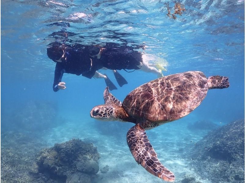 [Miyakojima/Pickup available] ★Reservations on the day OK★ [Great value Miyakojima enjoyment plan! Sea turtle snorkeling x beach SUP] Free pick-up, photo and video data!の紹介画像