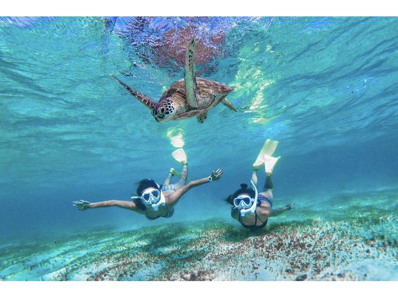 【宫古岛/可接送】★当天预约OK★【尽情享受宫古岛的超值方案！海龟浮潜x海滩SUP]免费交通，照片和视频数据！の紹介画像