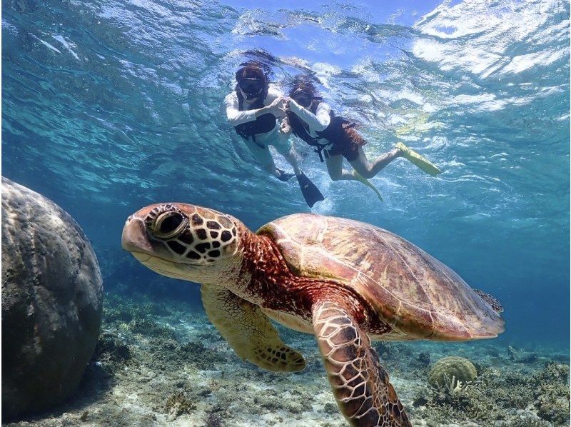 【宫古岛/可接送】★当天预约OK★【尽情享受宫古岛的超值方案！海龟浮潜x海滩SUP]免费交通，照片和视频数据！の紹介画像