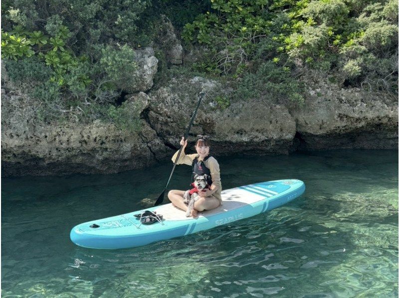 【宫古岛/可接送】★当天预约OK★【尽情享受宫古岛的超值方案！海龟浮潜x海滩SUP]免费交通，照片和视频数据！の紹介画像