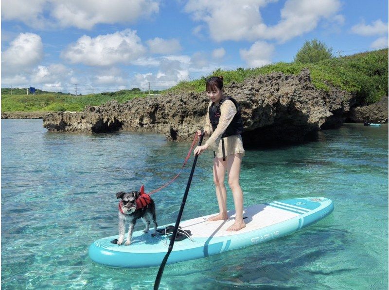 【宫古岛/可接送】★当天预约OK★【尽情享受宫古岛的超值方案！海龟浮潜x海滩SUP]免费交通，照片和视频数据！の紹介画像