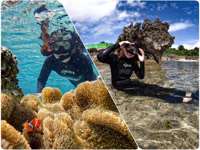 【宫古岛/可接送】★当天预约OK★【尽情享受宫古岛的超值方案！海龟浮潜x海滩SUP]免费交通，照片和视频数据！の紹介画像