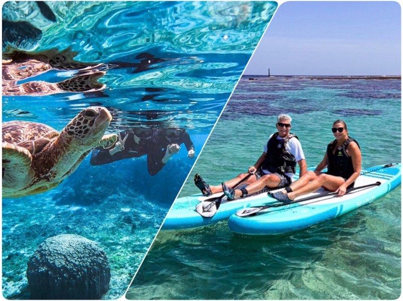 【宫古岛/可接送】★当天预约OK★【尽情享受宫古岛的超值方案！海龟浮潜x海滩SUP]免费交通，照片和视频数据！の紹介画像