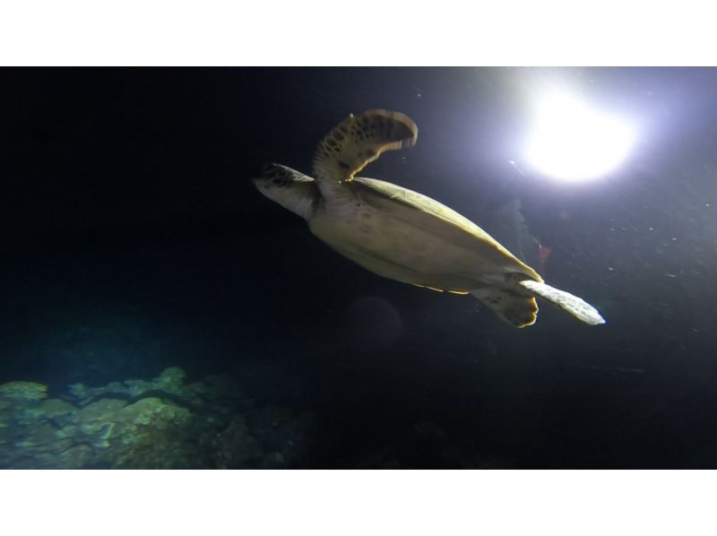 [Motobu Town, Gorilla Chop, etc.] <Night Snorkeling> ◆Would you like to try swimming in the ocean at night?? ◆1 slot, 1 group, exclusive event!!◆の紹介画像