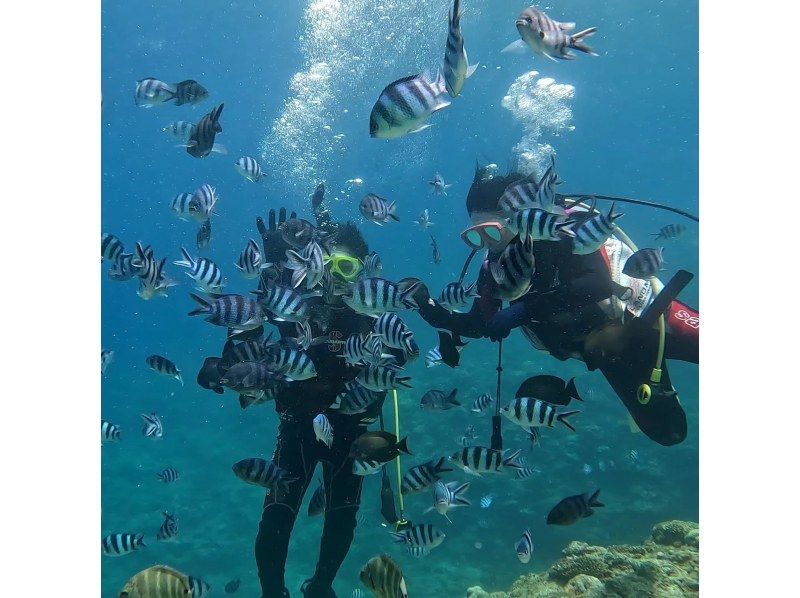 [Motobu Town, Gorilla Chop, etc.] <Experience Diving> ◆Held as a PADI program ◆Swimsuit only required from age 10 ◆GoPro photo giveawayの紹介画像