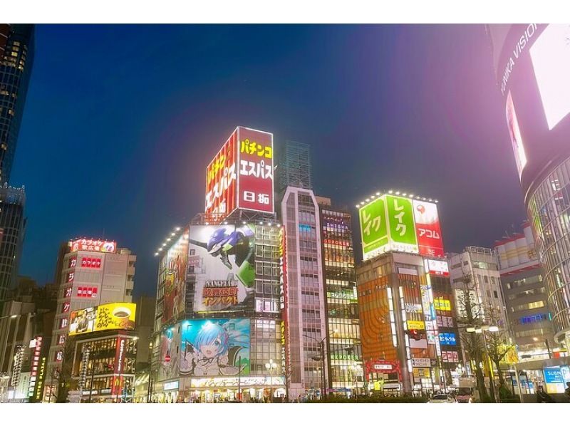 Tokyo After Dark Shinjuku Tour of Tradition and Pop Cultureの紹介画像
