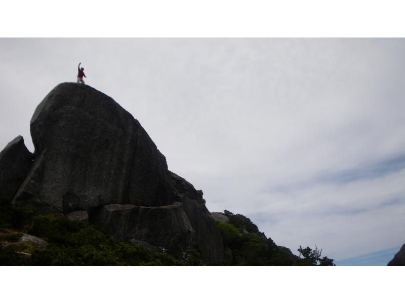 【鹿児島・屋久島】高山植物と巨石の黒味岳！貸切プライベート！巨木とコケと高層湿原に！本格登山も味わえます！の紹介画像