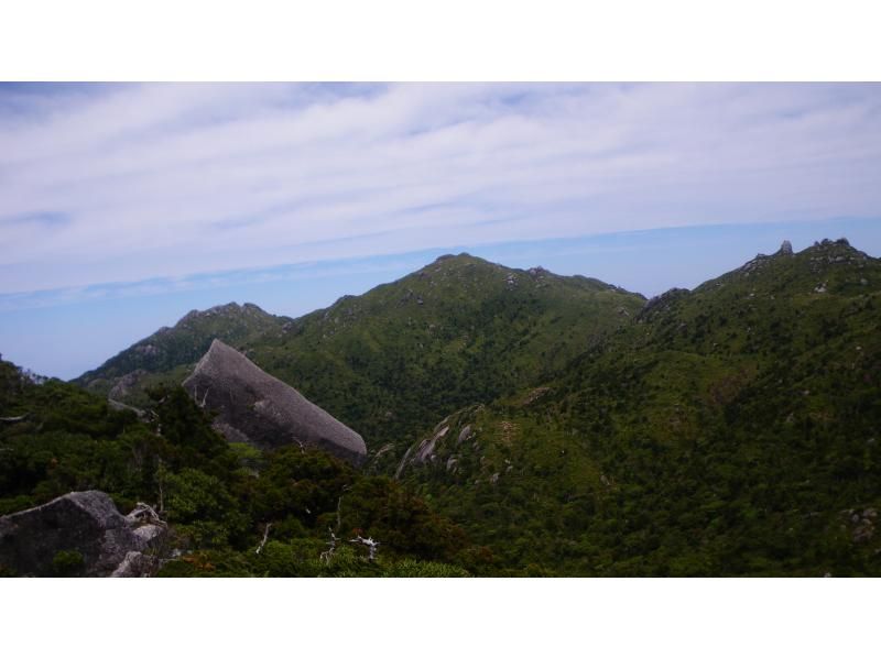 【鹿児島・屋久島】高山植物と巨石の黒味岳！貸切プライベート！巨木とコケと高層湿原に！本格登山も味わえます！の紹介画像