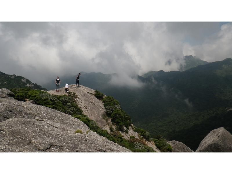 【鹿児島・屋久島】高山植物と巨石の黒味岳！貸切プライベート！巨木とコケと高層湿原に！本格登山も味わえます！の紹介画像