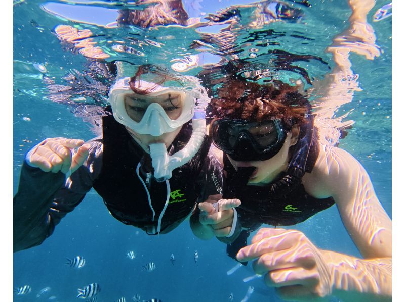 照片：點擊此處觀看免費影片⭐︎ 適合6至60歲 | 藍洞 | 僅限一個團體預訂 | 適合兒童 [非常適合家庭、情侶和初學者] 可當天預訂、臨時預訂和提前預訂の紹介画像