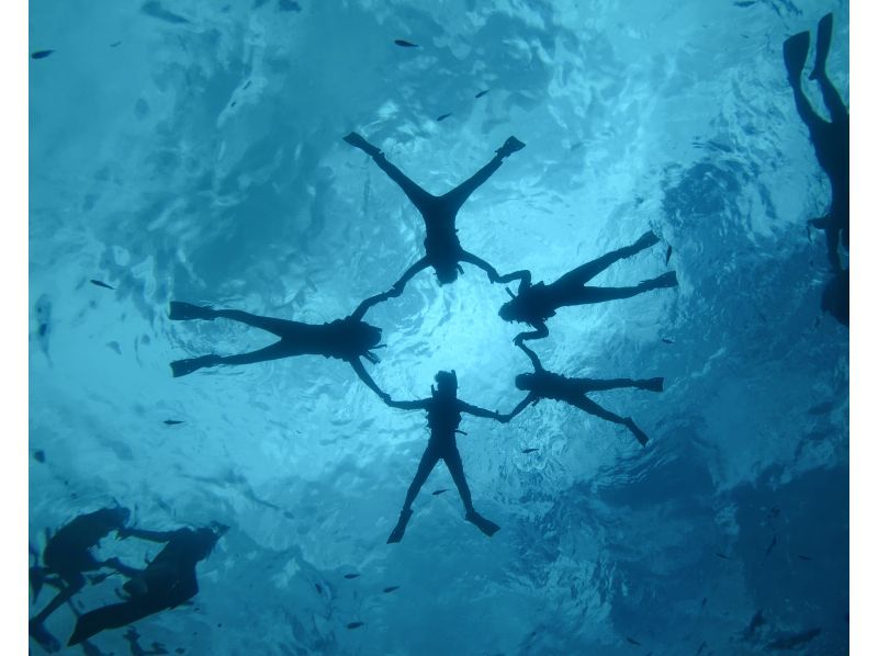 푸른 동굴 프리미엄 투어 | 사진. 동영상 무료 | 완전 전세제 | 6 세부터의 어린이도 참가 okの紹介画像