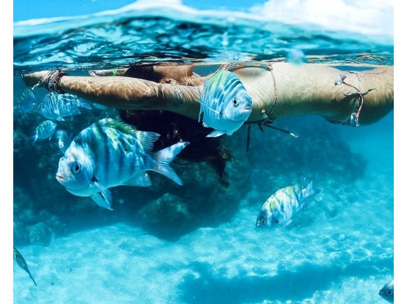 [Onna Village Blue Cave Snorkeling Experience] Get ultra-high-resolution Action 5pro underwater photos and videos, and a free feeding experience! Rain or shine! Same-day reservations acceptedの紹介画像