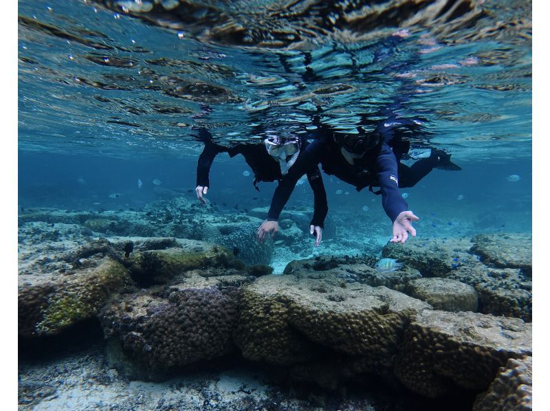 照片：點擊此處觀看免費影片⭐︎ 適合6至60歲 | 藍洞 | 僅限一個團體預訂 | 適合兒童 [非常適合家庭、情侶和初學者] 可當天預訂、臨時預訂和提前預訂の紹介画像