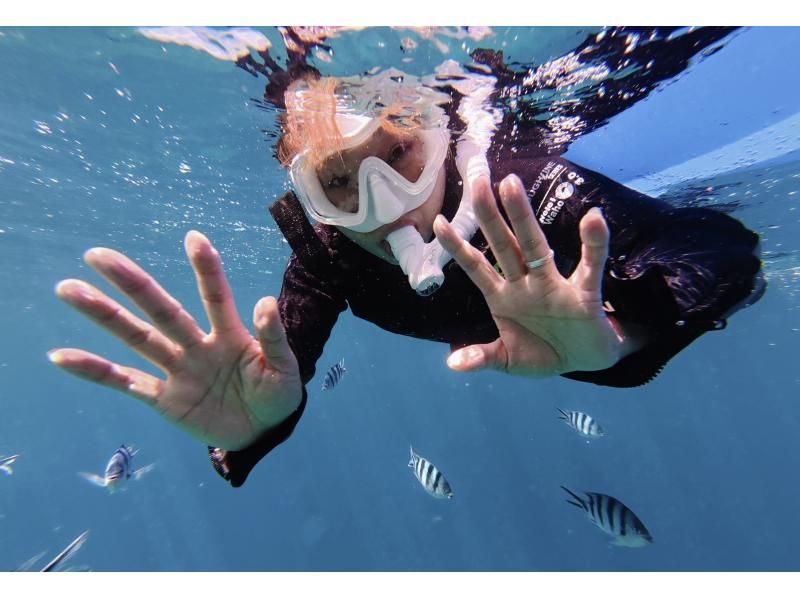 [Onna Village Blue Cave Snorkeling Experience] Get ultra-high-resolution Action 5pro underwater photos and videos, and a free feeding experience! Rain or shine! Same-day reservations acceptedの紹介画像