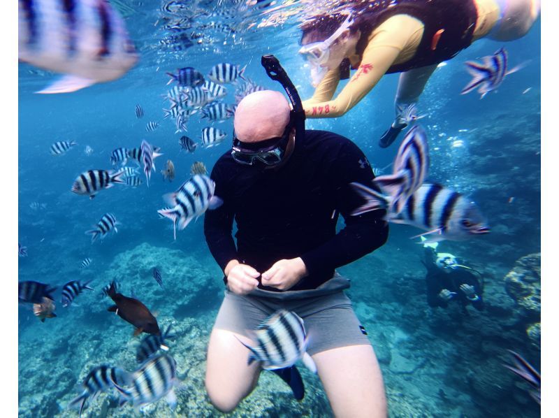 [Onna Village Blue Cave Snorkeling Experience] Get ultra-high-resolution Action 5pro underwater photos and videos, and a free feeding experience! Rain or shine! Same-day reservations acceptedの紹介画像