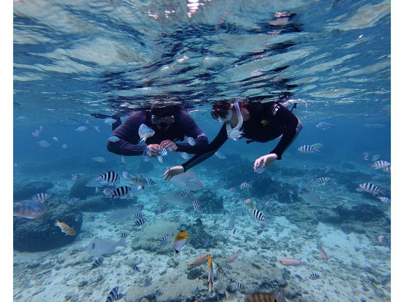 照片：點擊此處觀看免費影片⭐︎ 適合6至60歲 | 藍洞 | 僅限一個團體預訂 | 適合兒童 [非常適合家庭、情侶和初學者] 可當天預訂、臨時預訂和提前預訂の紹介画像