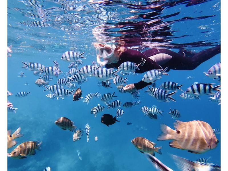 照片：點擊此處觀看免費影片⭐︎ 適合6至60歲 | 藍洞 | 僅限一個團體預訂 | 適合兒童 [非常適合家庭、情侶和初學者] 可當天預訂、臨時預訂和提前預訂の紹介画像