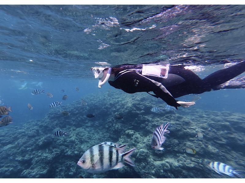 [Onna Village Blue Cave Snorkeling Experience] Get ultra-high-resolution Action 5pro underwater photos and videos, and a free feeding experience! Rain or shine! Same-day reservations acceptedの紹介画像