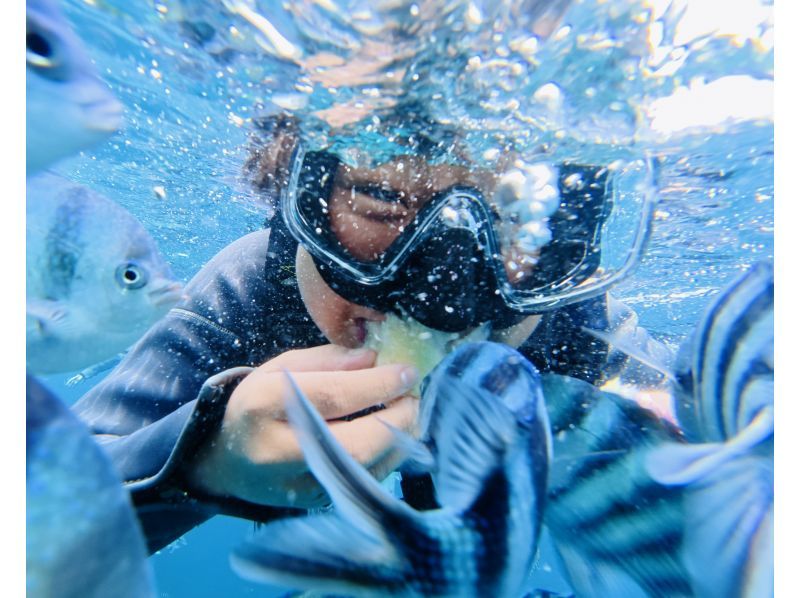 照片：點擊此處觀看免費影片⭐︎ 適合6至60歲 | 藍洞 | 僅限一個團體預訂 | 適合兒童 [非常適合家庭、情侶和初學者] 可當天預訂、臨時預訂和提前預訂の紹介画像