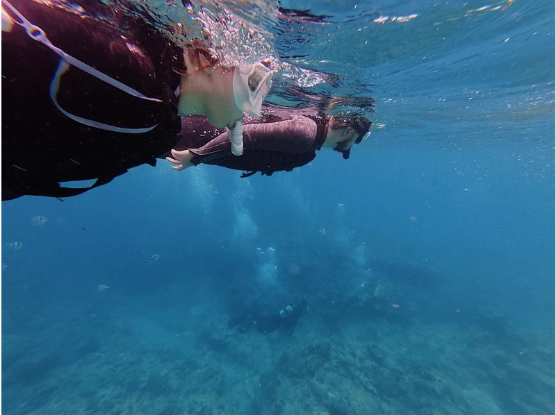[Onna Village Blue Cave Snorkeling Experience] Get ultra-high-resolution Action 5pro underwater photos and videos, and a free feeding experience! Rain or shine! Same-day reservations acceptedの紹介画像