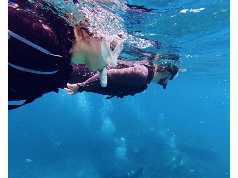 [Onna Village Blue Cave Snorkeling Experience] Get ultra-high-resolution Action 5pro underwater photos and videos, and a free feeding experience! Rain or shine! Same-day reservations acceptedの紹介画像