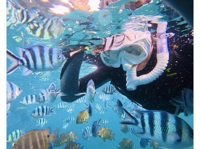 푸른 동굴 프리미엄 투어 | 사진. 동영상 무료 | 완전 전세제 | 6 세부터의 어린이도 참가 okの紹介画像