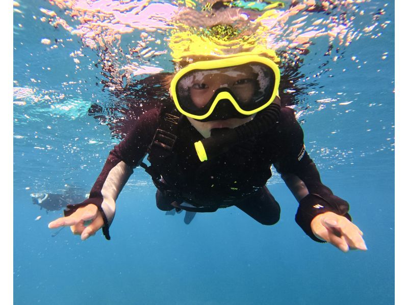 푸른 동굴 프리미엄 투어 | 사진. 동영상 무료 | 완전 전세제 | 6 세부터의 어린이도 참가 okの紹介画像